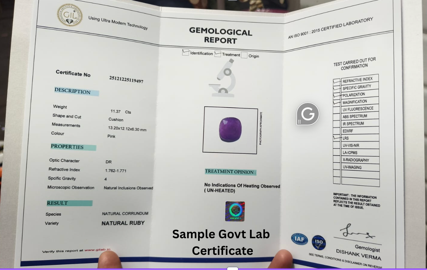 Ruby Certificate - Govt Lab