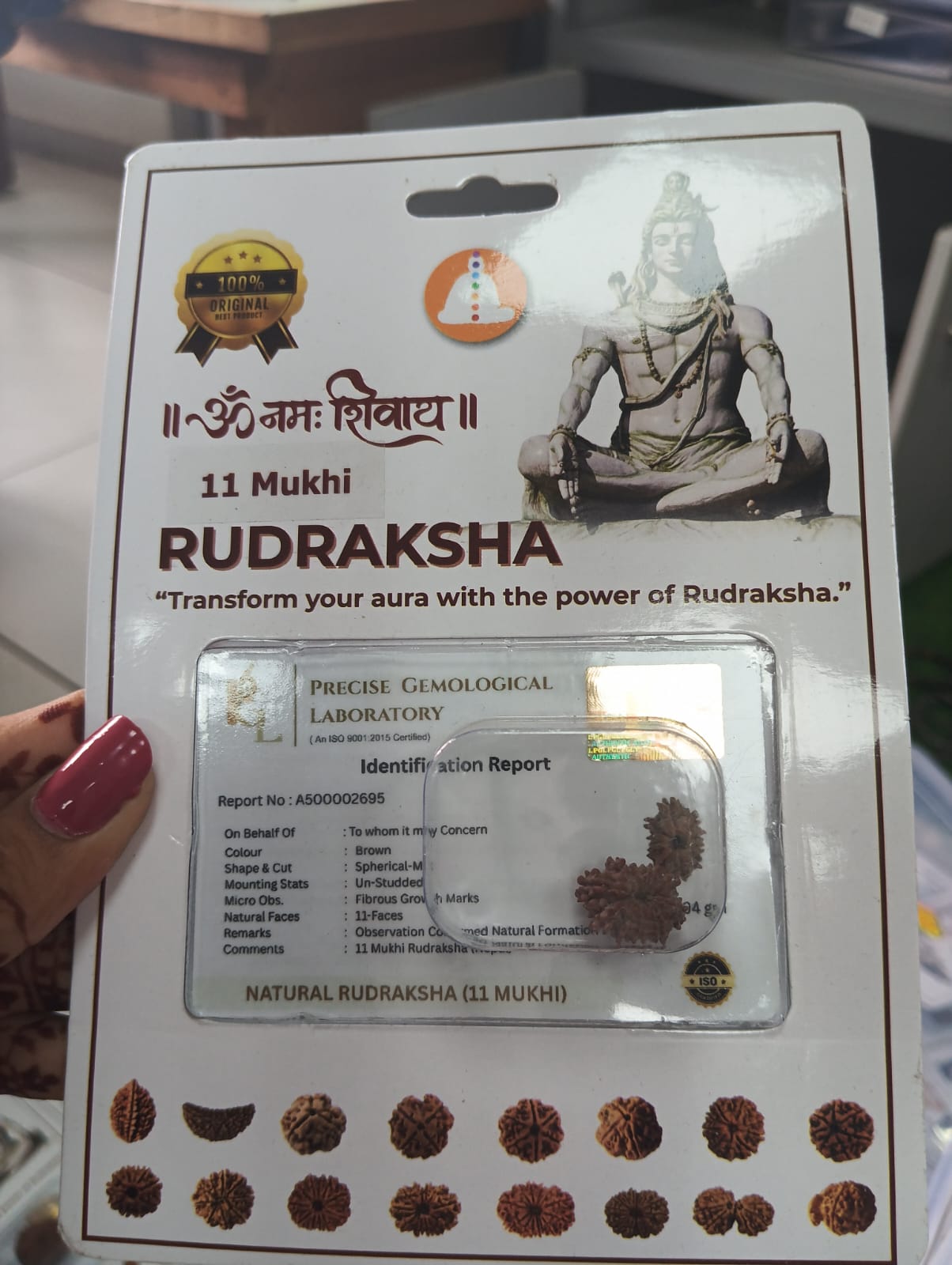 Rudraksha - 11 Mukhi Certificate