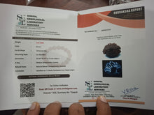Rudraksha - 11 Mukhi | x ray Certificate