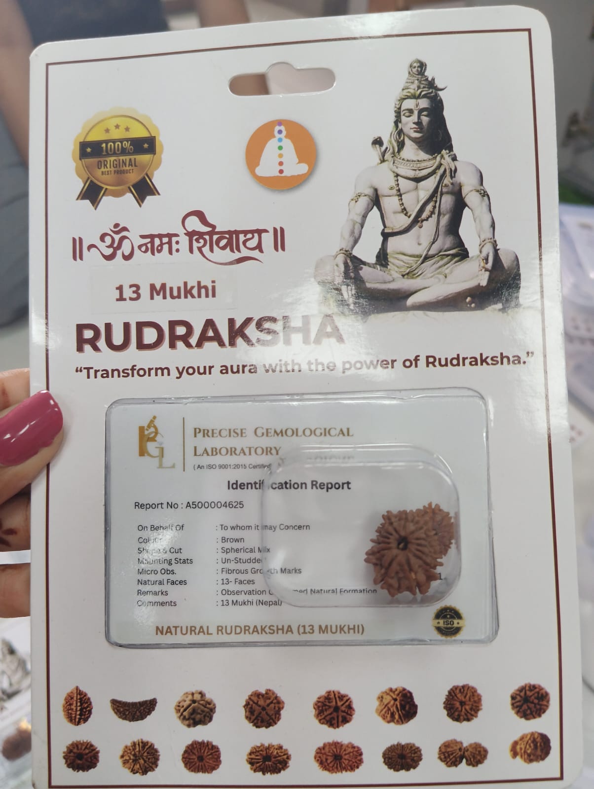 Rudraksha - 13 Mukhi Certificate