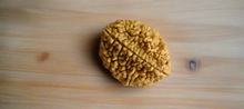 Rudraksha - 2 Mukhi