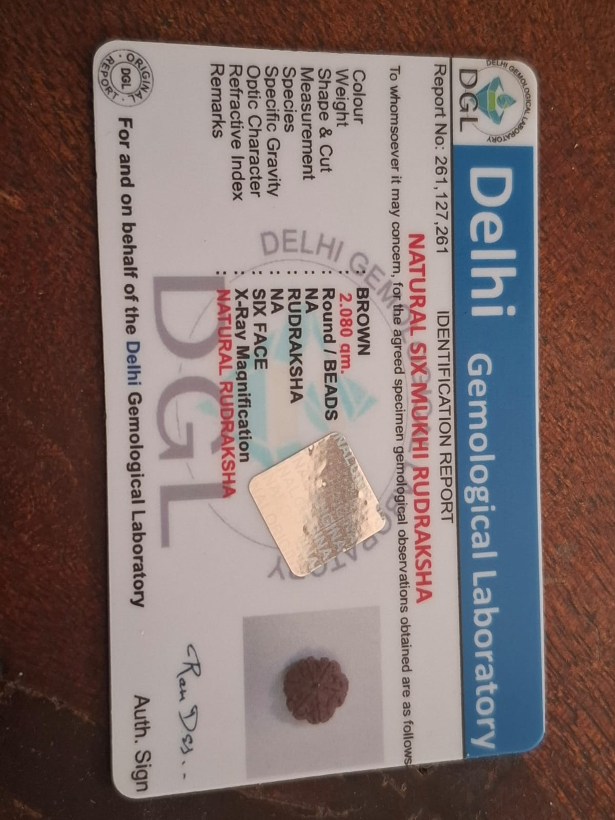 Rudraksha  - 6 Mukhi Certificate