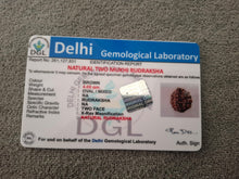Natural Rudraksha Rudraksha Stone with Lab Certificate