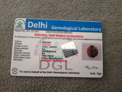 Rudraksha | 2 Mukhi | Certificate