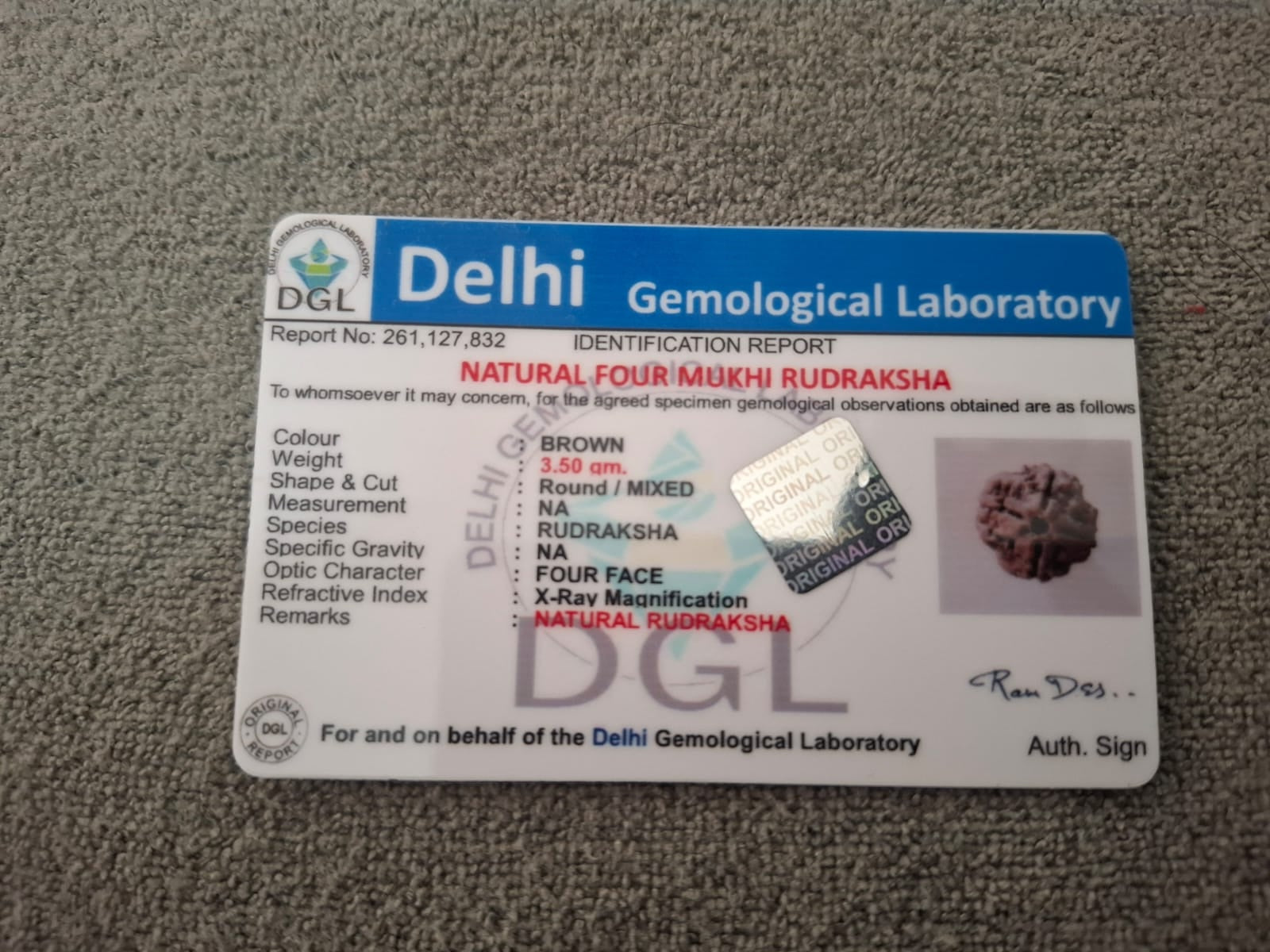 Natural Rudraksha Rudraksha Stone with Lab Certificate
