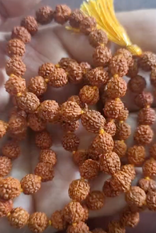 Rudraksha Mala - 5 Mukhi