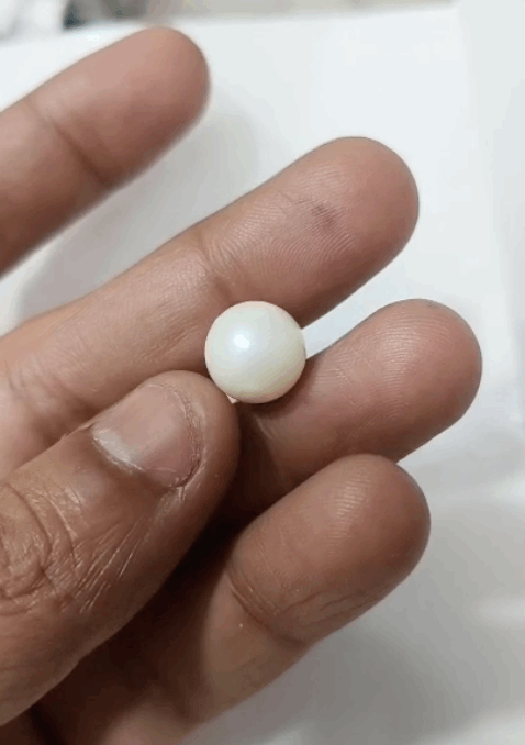 South Sea Pearl | Pearl Stone | Moti Stone | 11 Ratti | With Certificate