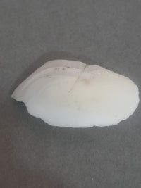 Shukramani For Venus