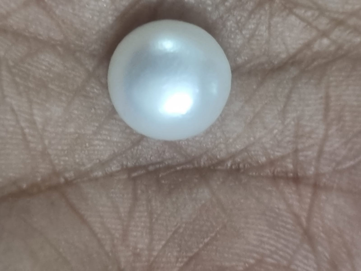 South Sea Pearl | 12 ratti | Premium