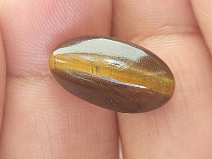 Tiger eye stone | 8.5 carat 