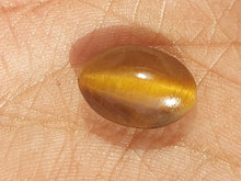 Tiger eye stone | 8 carat 