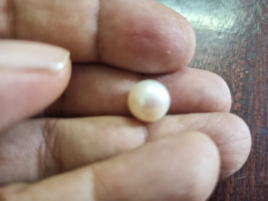 South Sea pearl