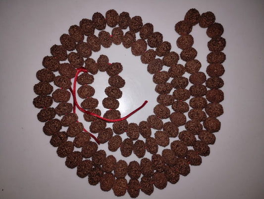 9 Mukhi Rudraksha Mala