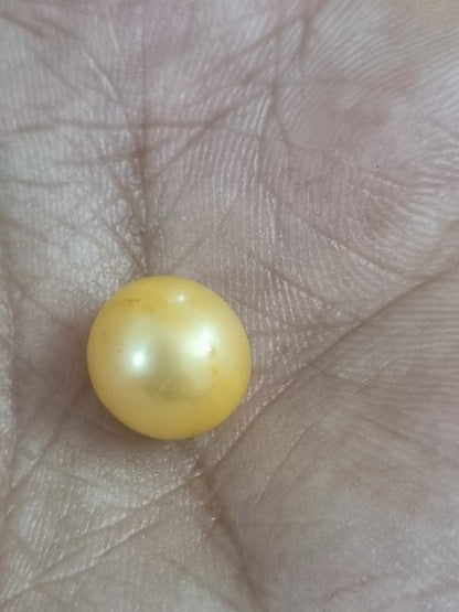 Golden Pearl | South sea pearl | 9 Carat