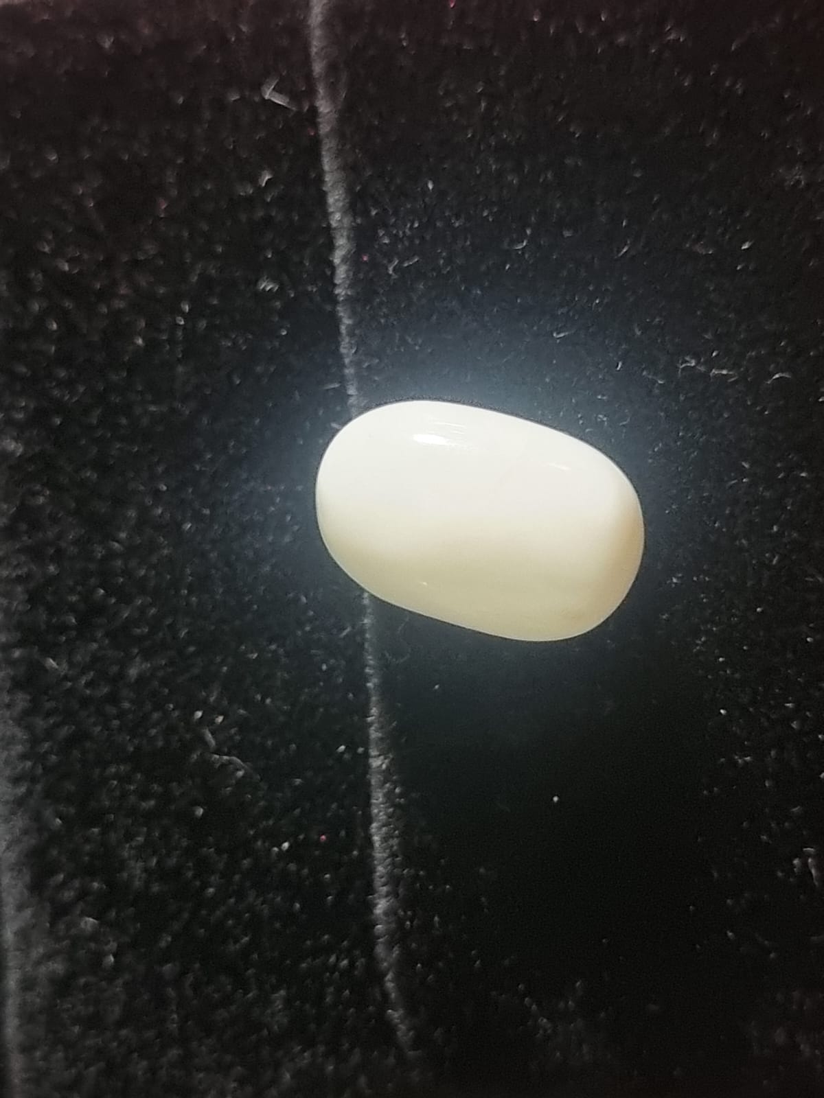 White Coral Stone | Safed Mooonga | Triangle | 4 carat | With Certificate