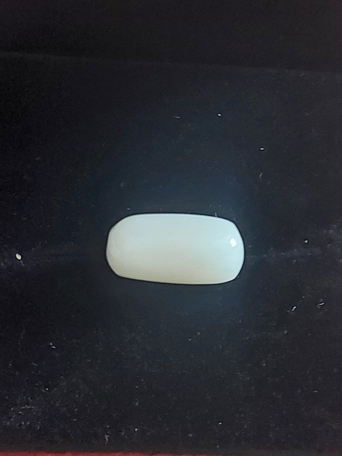 White Coral Stone | Safed Mooonga | 5 Carat 