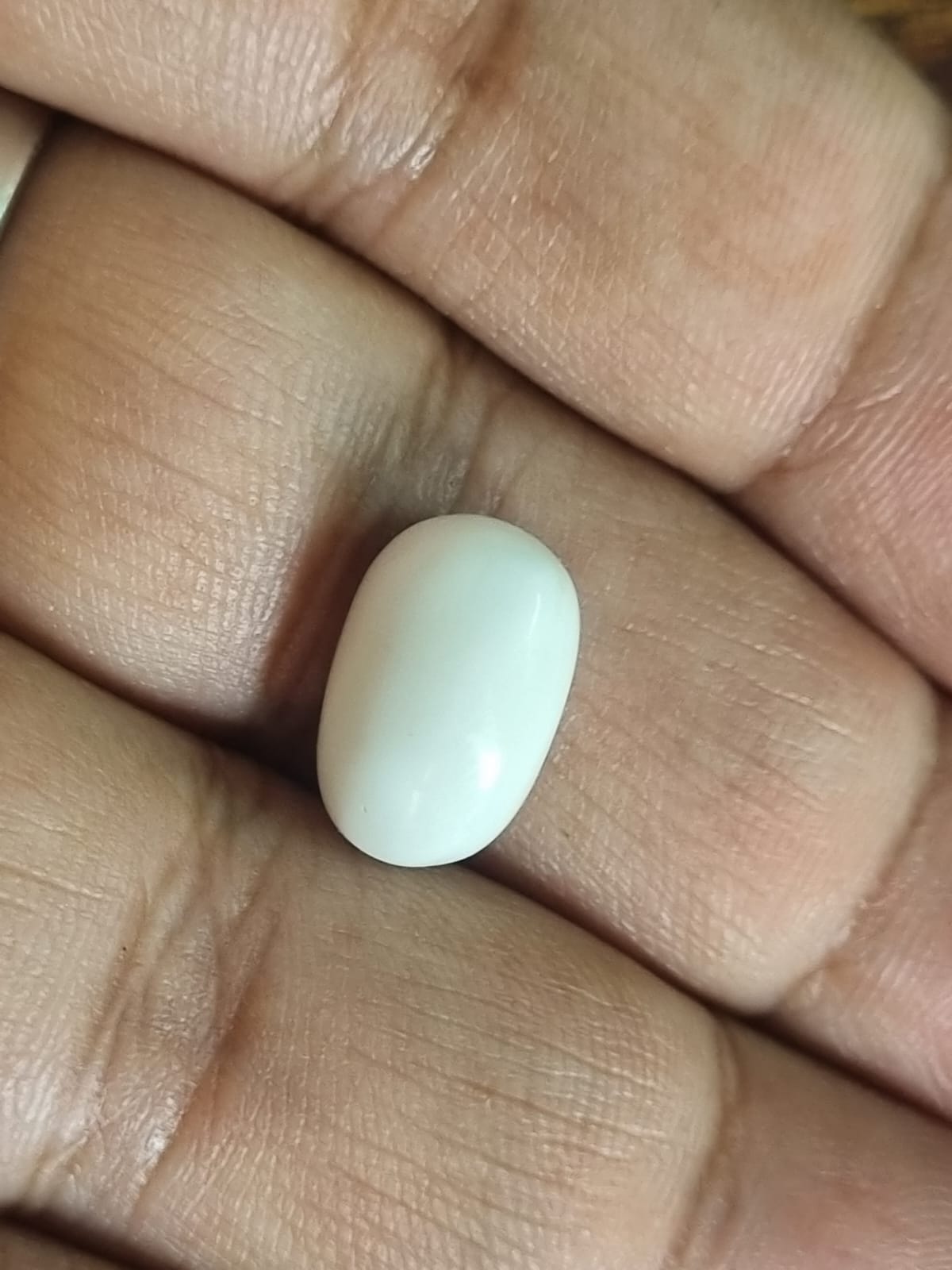 White Coral Stone Safed Mooonga Ratti With Certificate – Vedic  Crystals