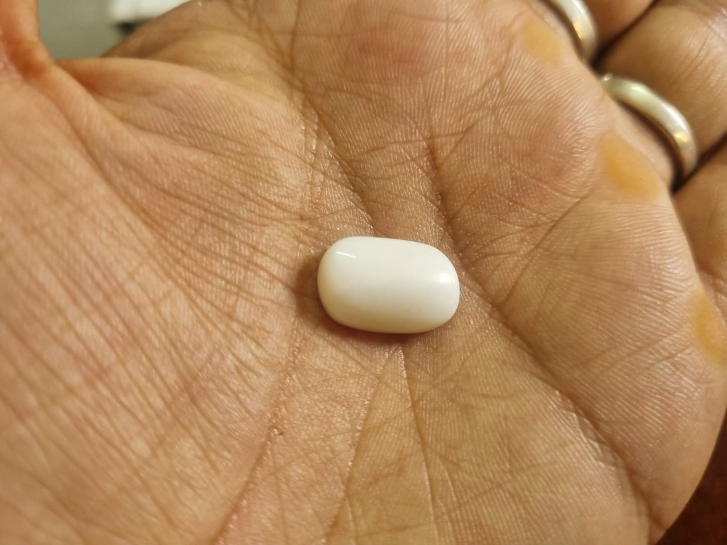 White Coral Stone | Safed Mooonga | 8 Ratti | With Certificate