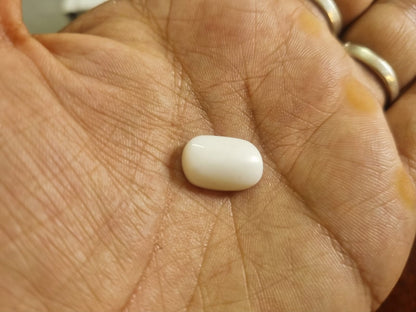 White Coral Stone | Safed Mooonga | 8 Ratti | With Certificate