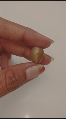 12 Carat Cat's Eye Stone | Ceylon | Sri Lanka