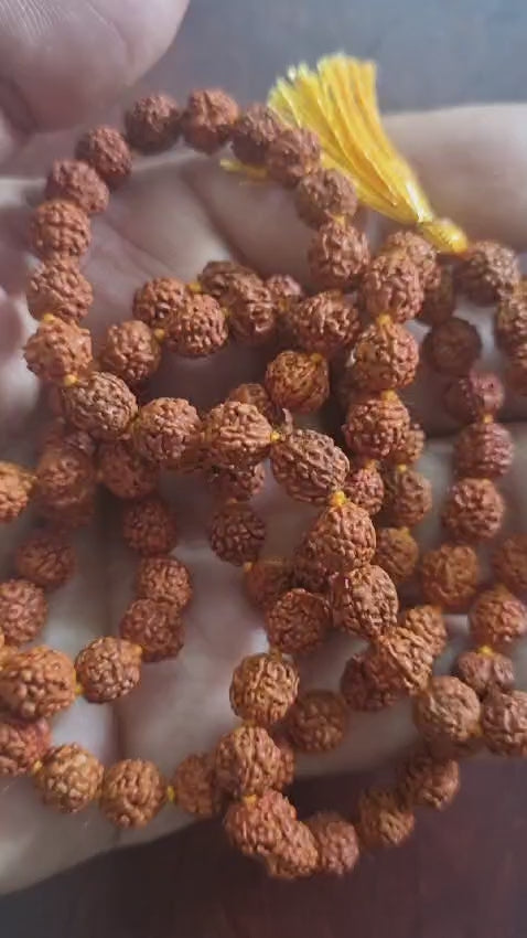 5 Mukhi (Paanch Mukhi) Rudraksha Mala - Embodiment of Lord Shiva's Grace